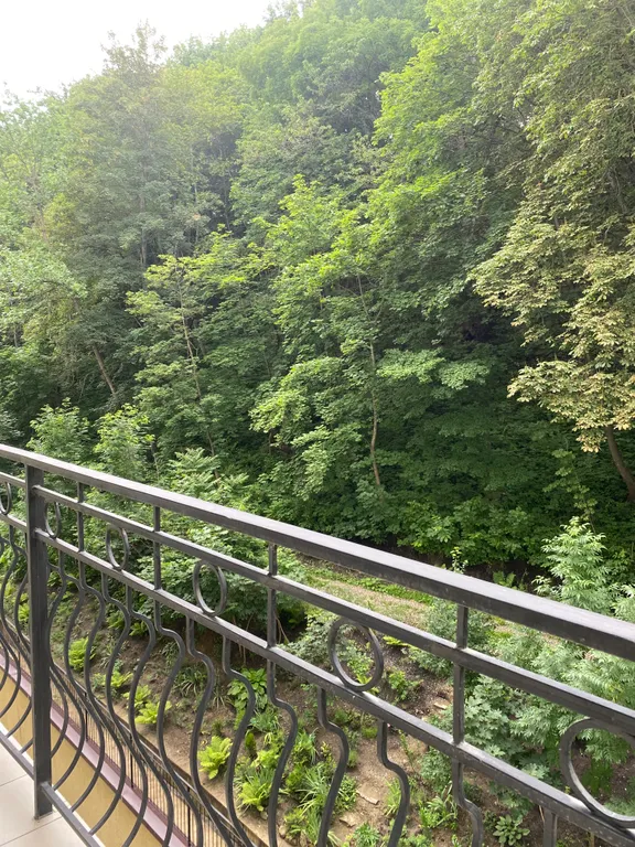 Апартамент с видом на парк