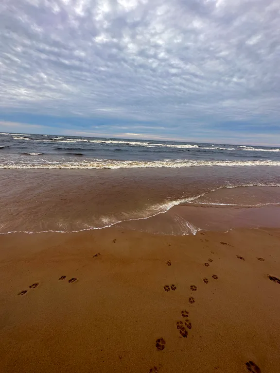 Коттедж Уютный дом на восточном побережье Ладожского озера — Нурмойла