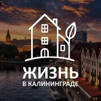 Live in Калининград