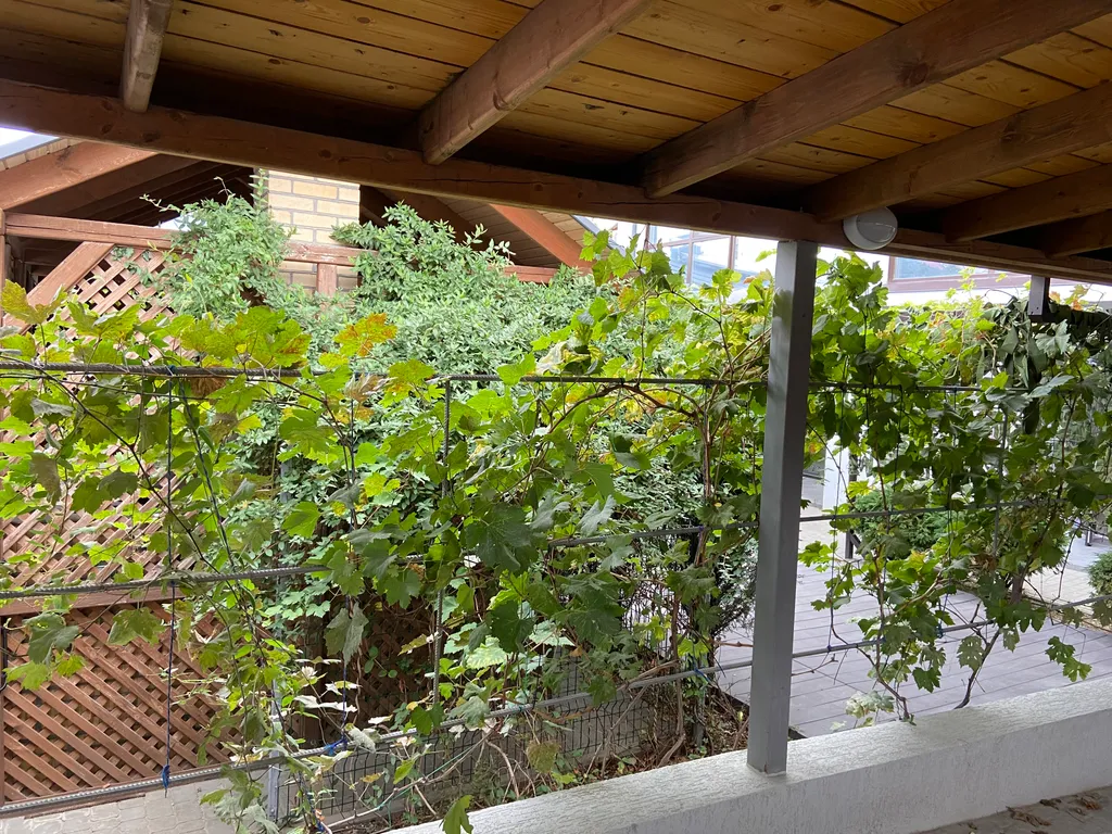 Уютный дом с внутренним двориком