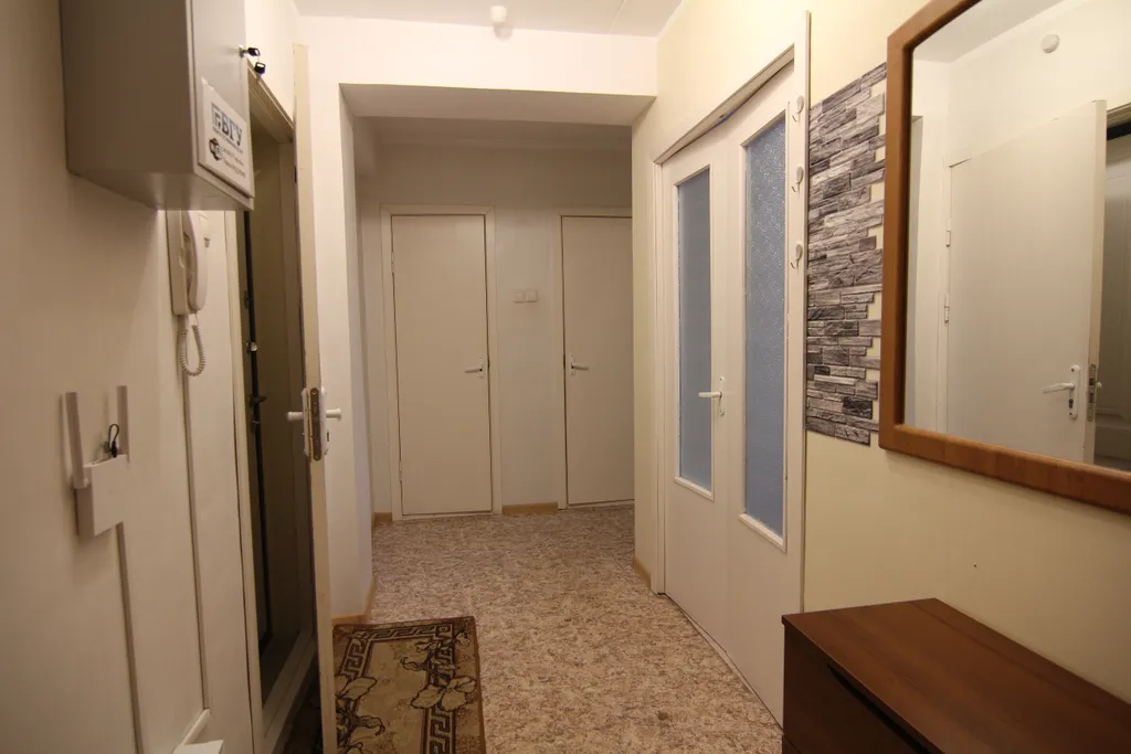 1-комнатная квартира люкс в тихом зелёном районе города