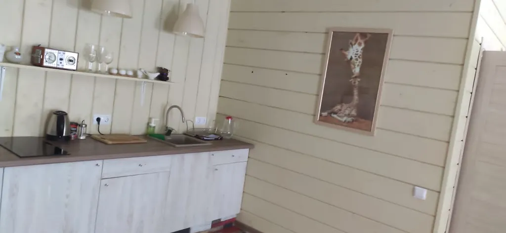 Twin house на берегу озера