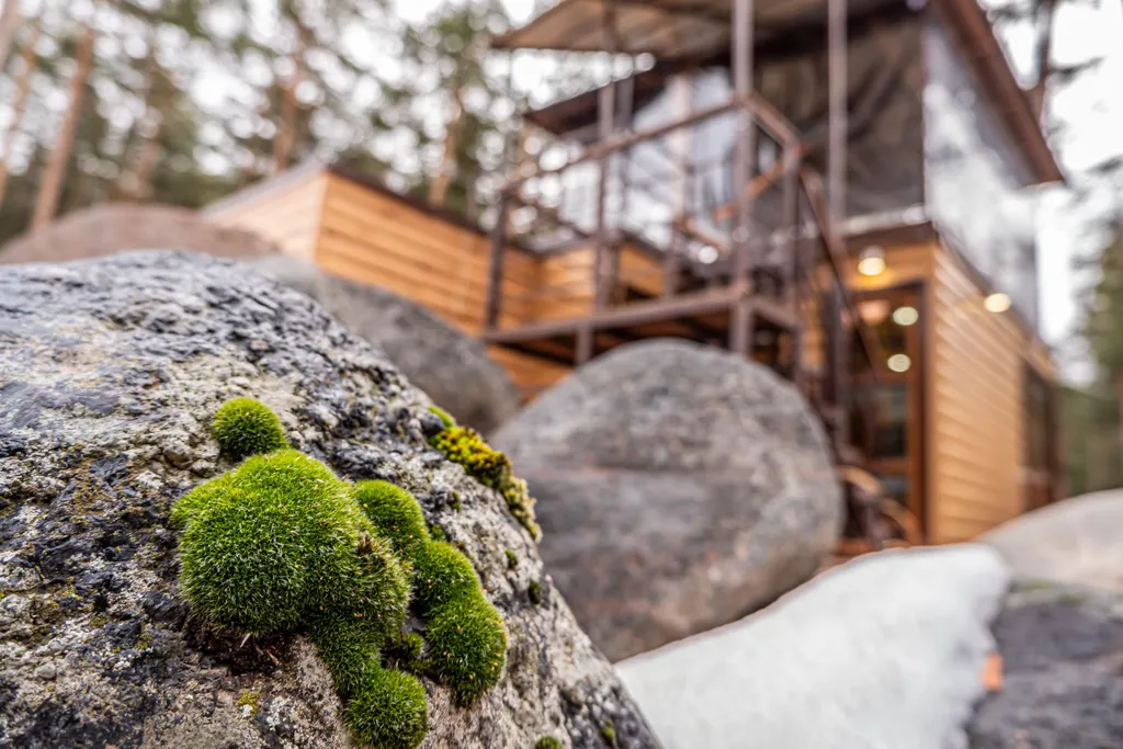 Insta-коттедж с BBQ