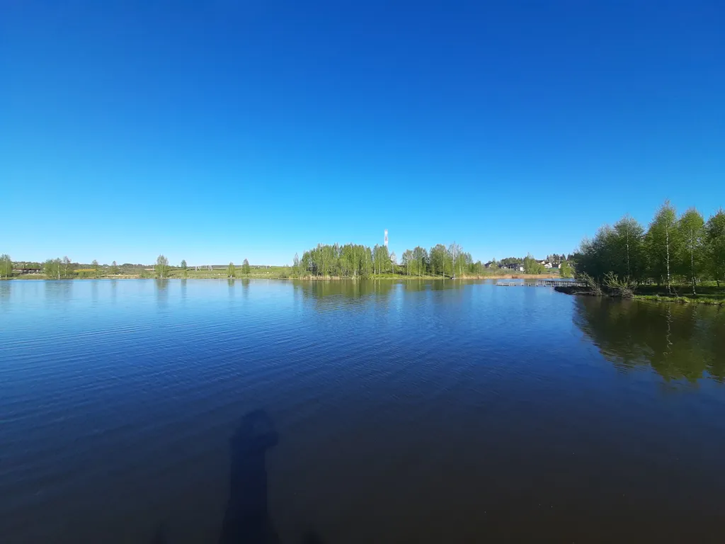 Большой деревянный коттедж рядом с озером и лесом