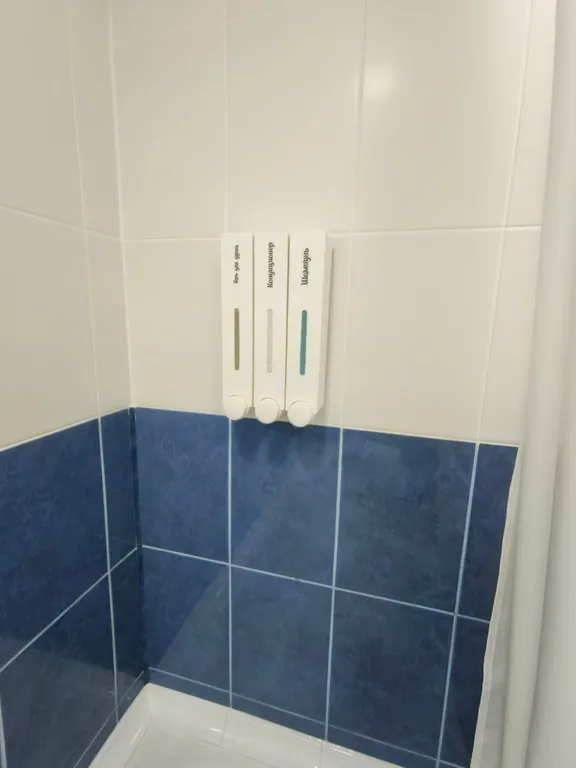 Солнце Севера