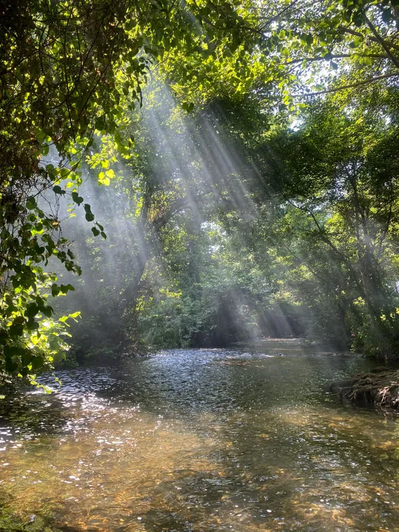 Дом из сруба в Самурском лесу