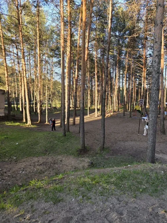 Квартира рядом с Институтом Сердца, отчетные документы