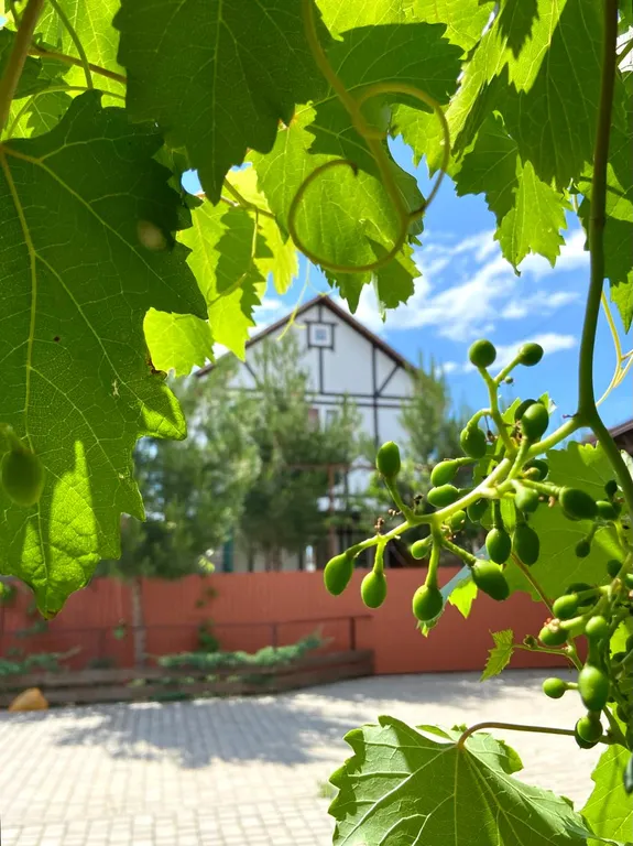 Коттедж Адмиральский домик на море — Солнечная Долина