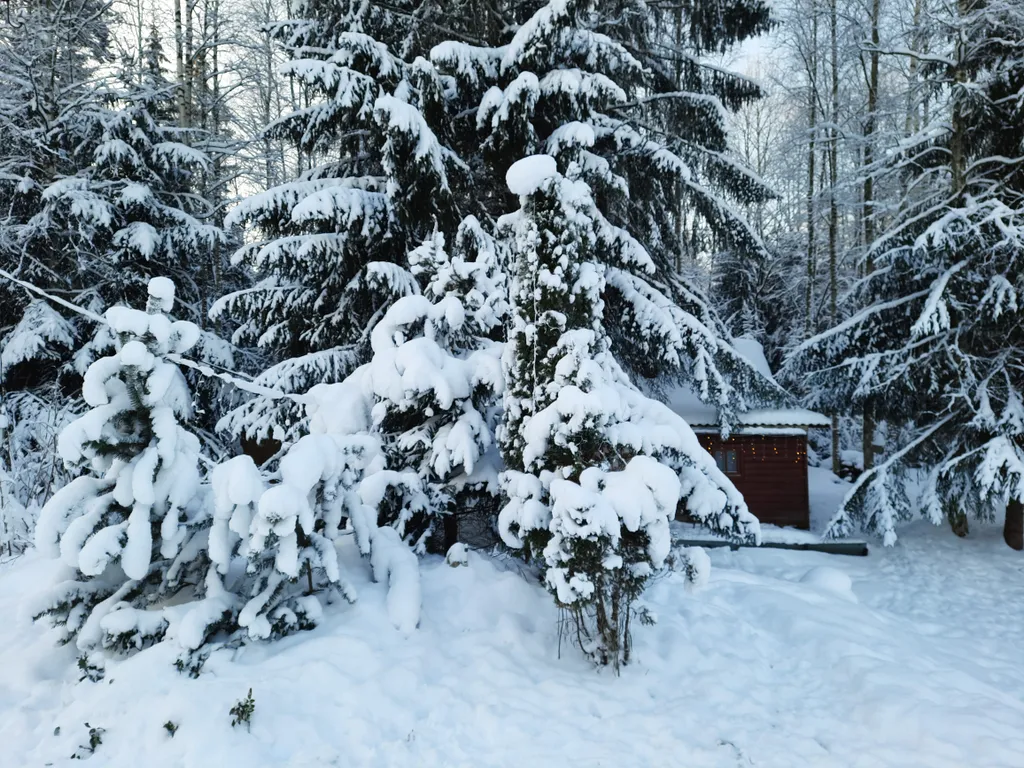 Коттедж Хаски дом — Разметелево
