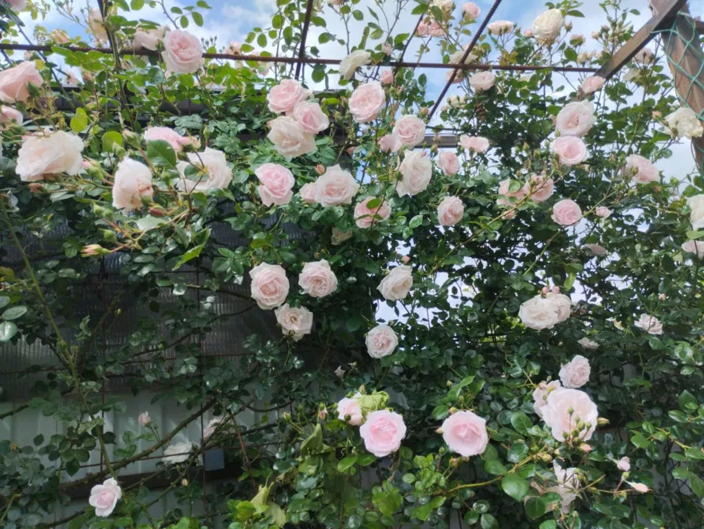 Тихое, спокойное место