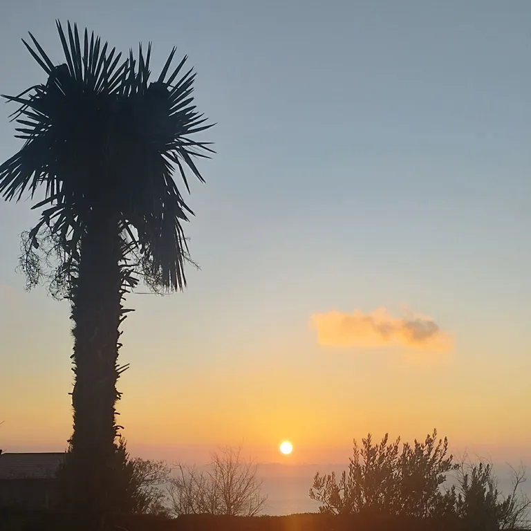 Уютная квартира евро двушка в ЖК Шато Ришелье.