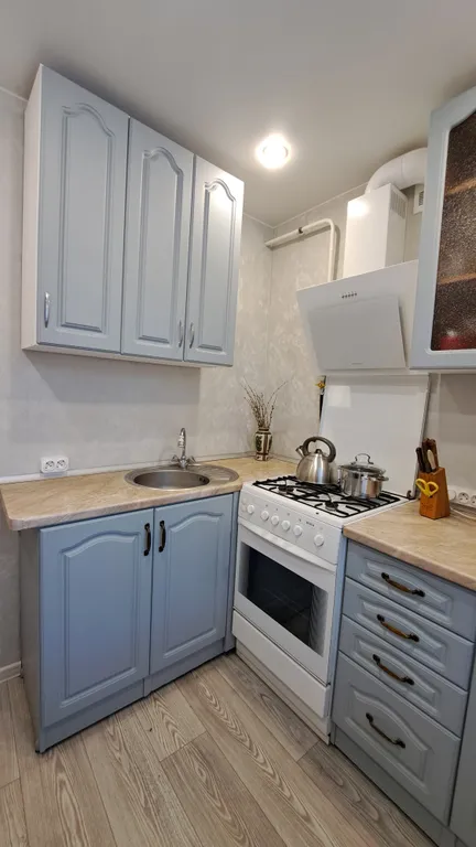 Квартира Двухкомнатная квартира рядом с институтами имени Напалкова и Гранова — Песочный