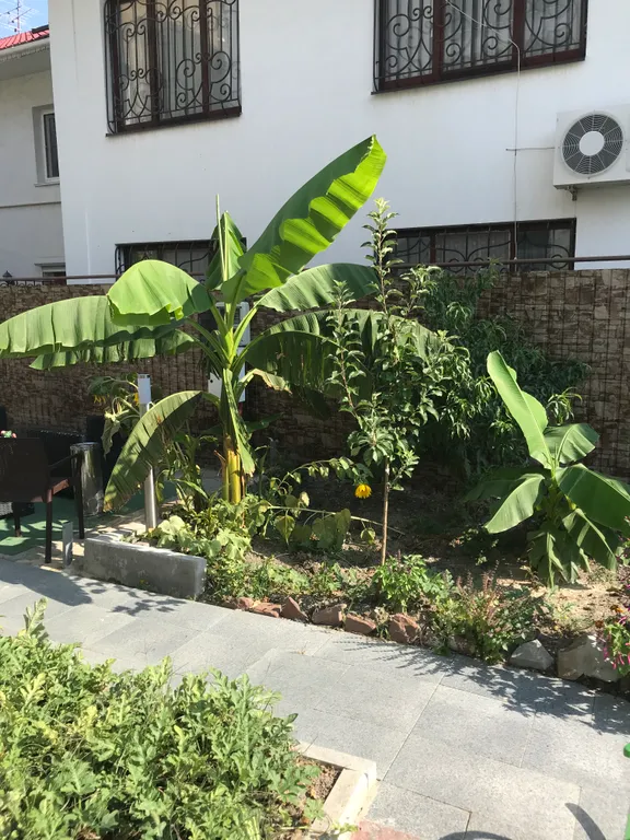 Новый дизайнерский европейский дом недалеко от моря, у Ялта интурист