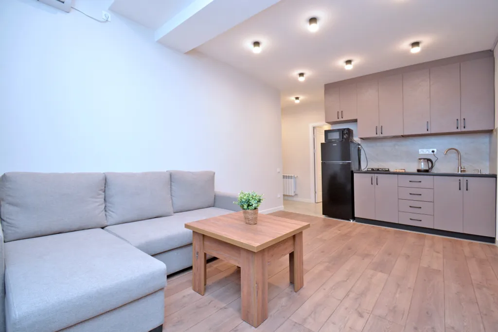 One Bdr next to Rep. Square by Domel Yerevan