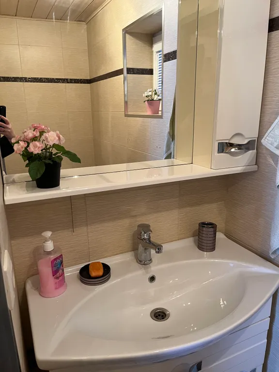 Дом-баня В гостях у Троицы