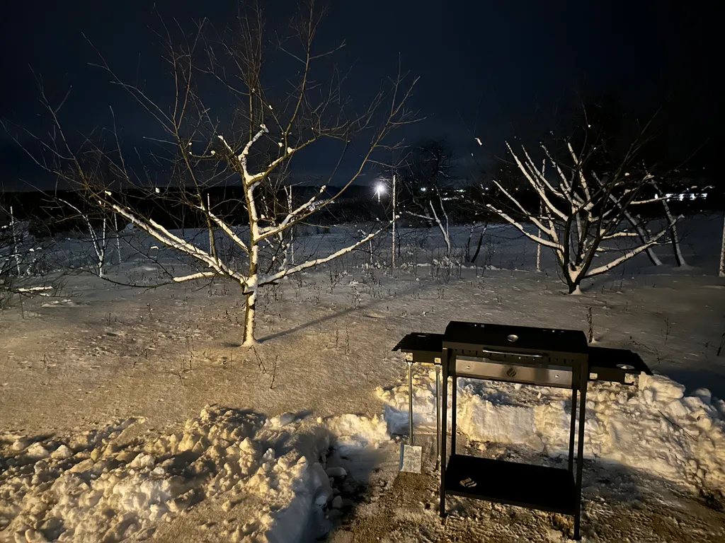 Дубки на Кудыкиной горе