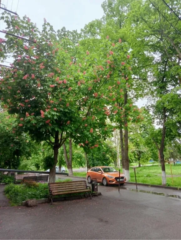 Уютная квартира в центре города Майского!