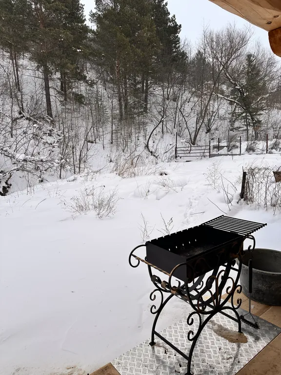 Гостевой дом и кедровая баня на Алтайской