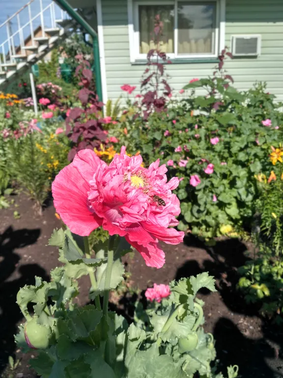 Деревенский дом на реке Оке рядом с родиной Есенина