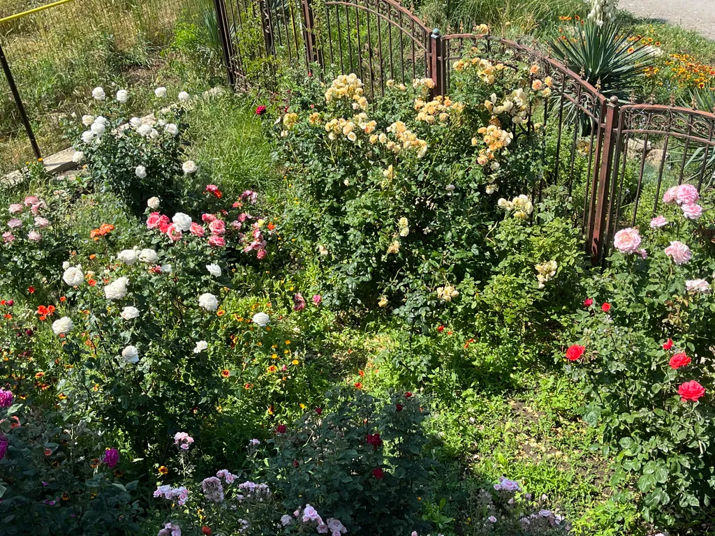 Тихий райский уголок