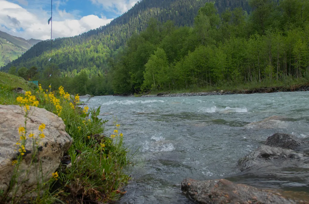 Гостевой дом Артур