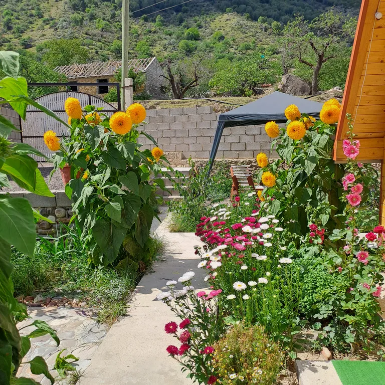 3-комнатный Дом