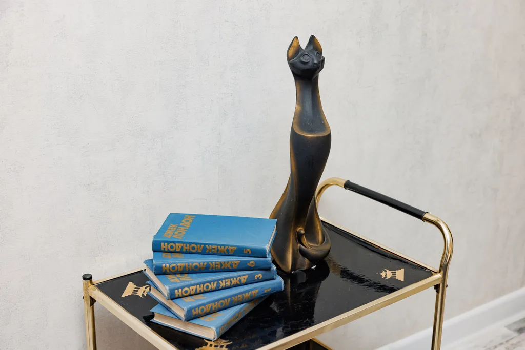 Квартира в стиле Лофт у Золотых Ворот