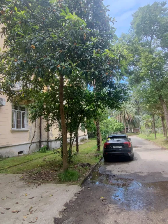 Просторная квартира у моря