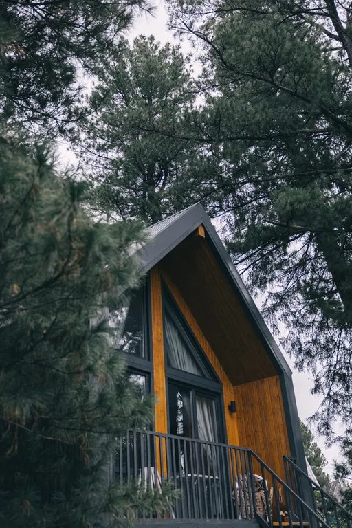 Уютный домик в кедровом лесу