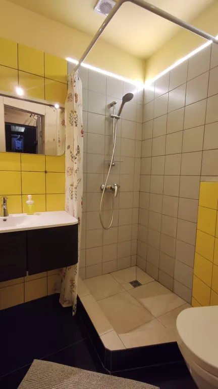 Студия с террасой