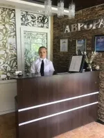МК Аврора