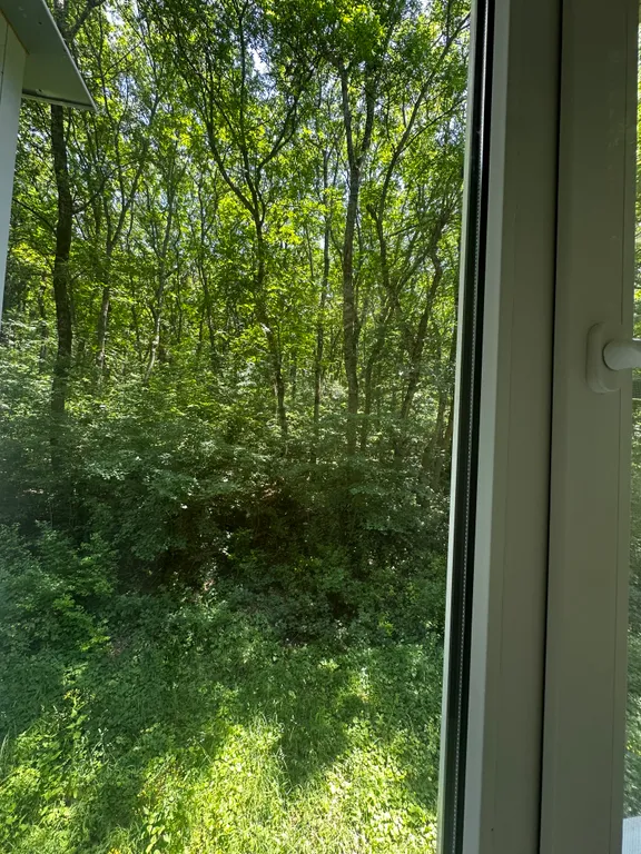 Возле бювета с минеральной водой