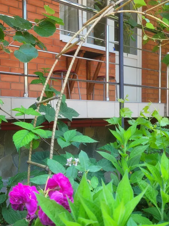 Квартира Комната — аренда посуточно в Джубга