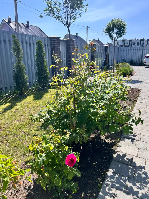 Частный уютный дом дом в 10 минутах от моря