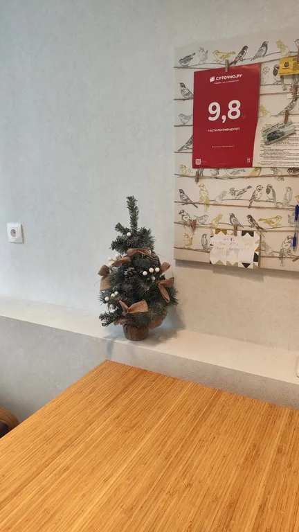 Студия балтийские сосны