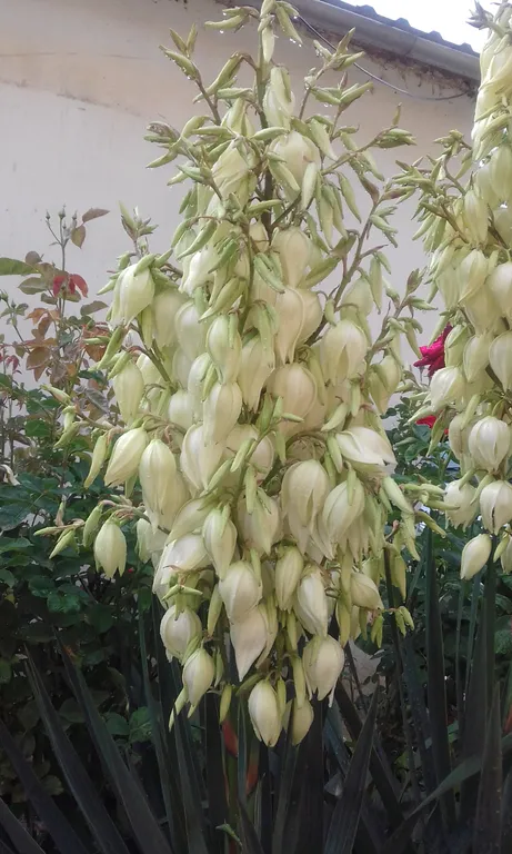 Коттедж Дом Морской бриз — Феодосия