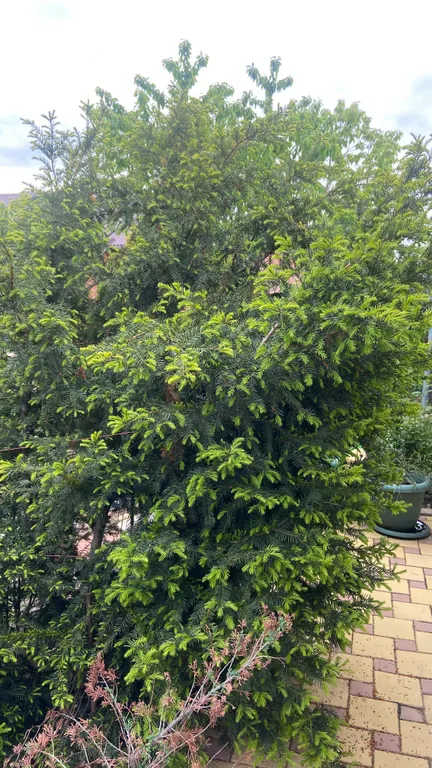 Полдома в центре города недалеко центр. рынок, удобный выезд в горы