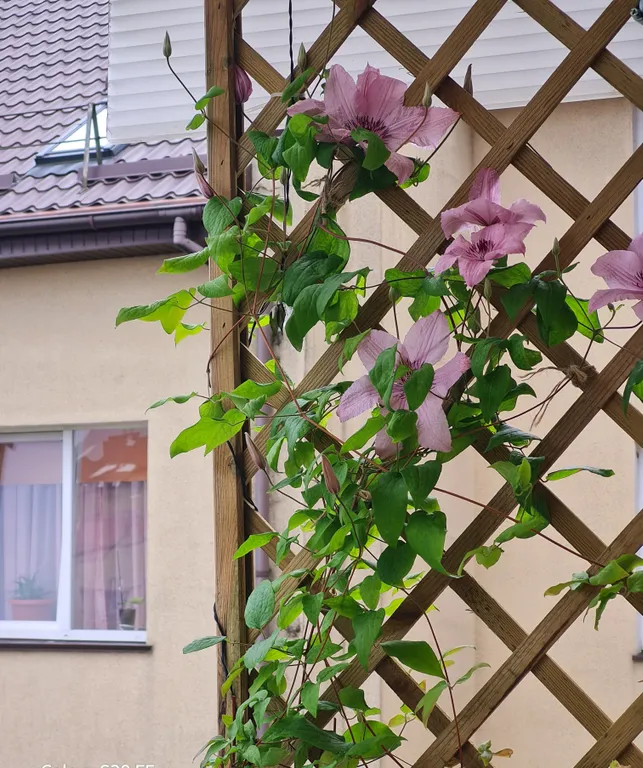 Уютная квартира у моря с сосновым бором