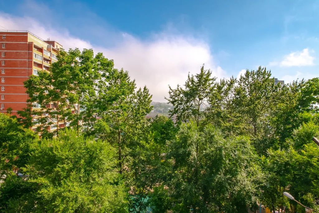 Квартира рядом с тц, Мариинским театром