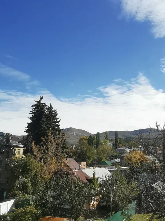 Стильная современная квартира в центре города