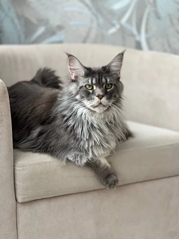 Плёс пригород Домик