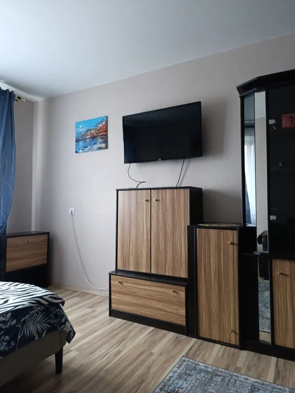 Чижовка Арена, Дельфинарий, Дино-парк, метро Автозаводская 10мин