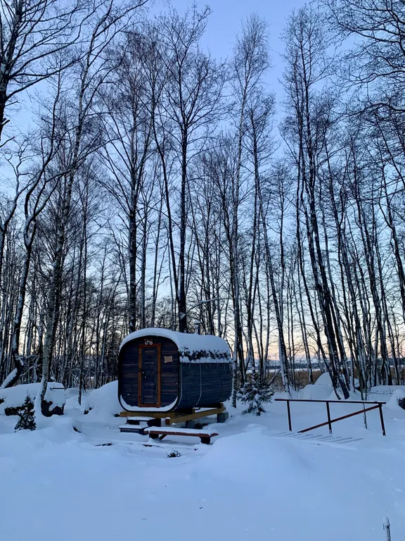 Коттедж с горячей купелью рядом с Выборгом