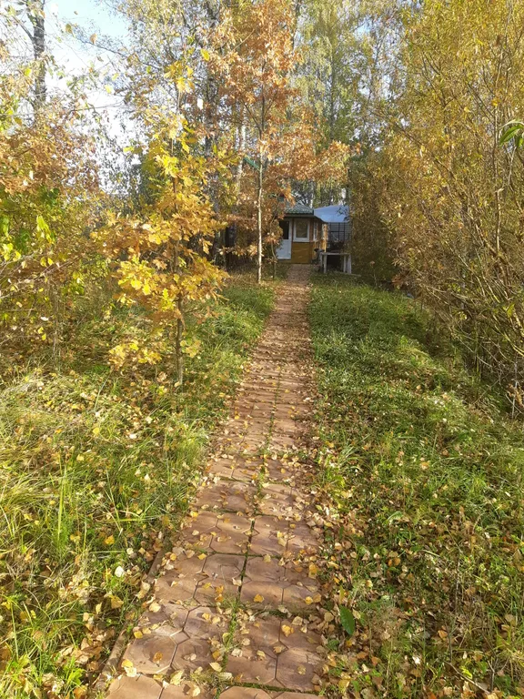 Дом-баня на дровах в деревне