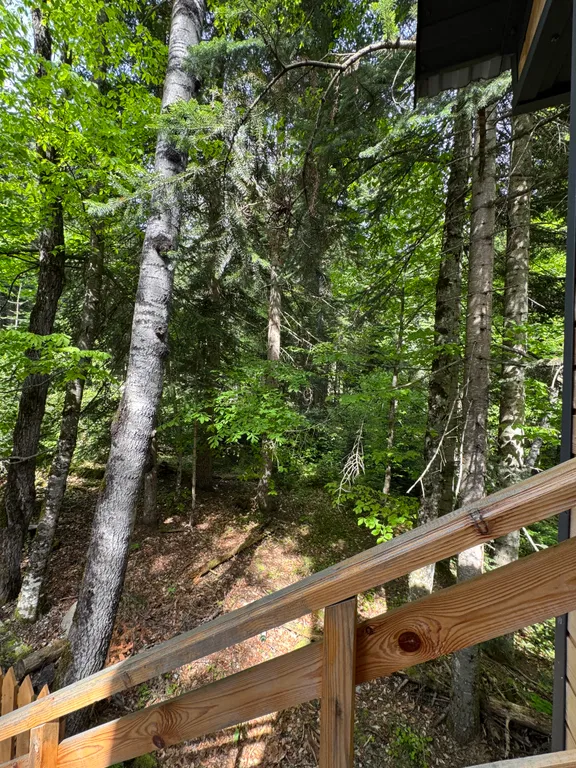 Двухкомнатный домик с видом на горы в лесу