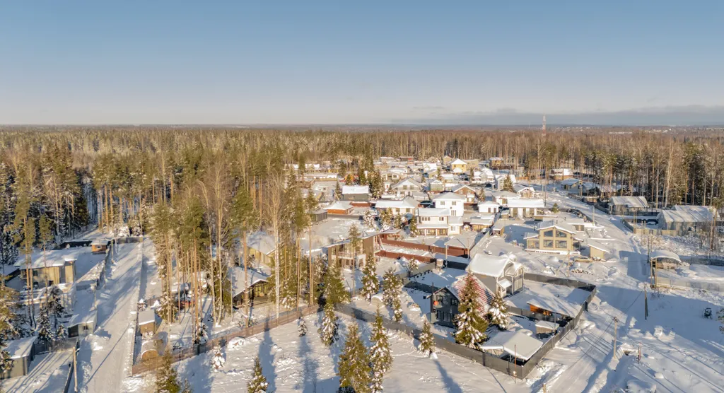 Коттедж Уютный дом у леса — Агалатово