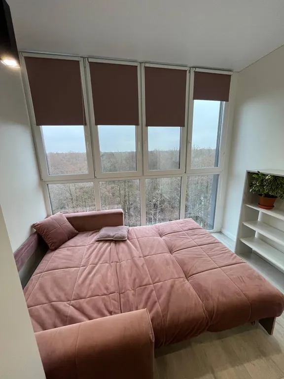 Апартамент с видом на лесной массив Куршской косы