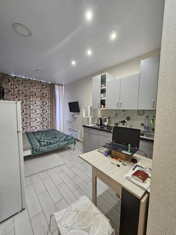 Квартира 1-комнатная Квартира — Сириус