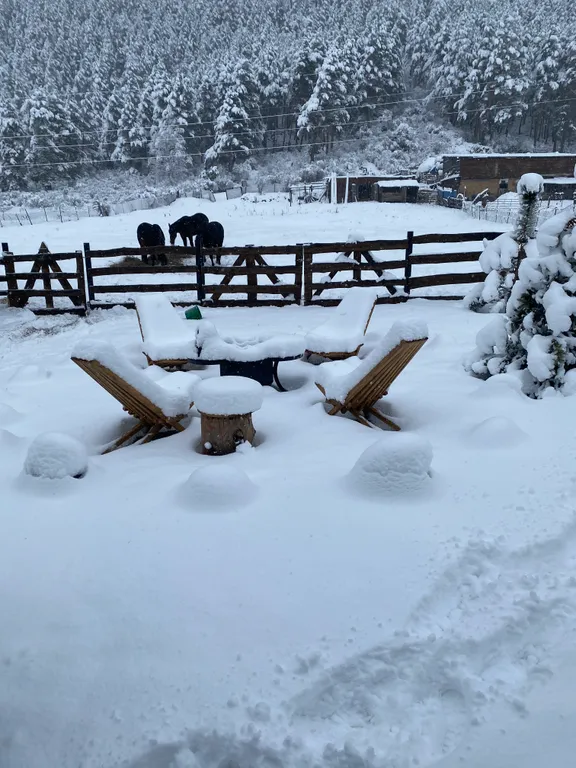 Домик под лесом