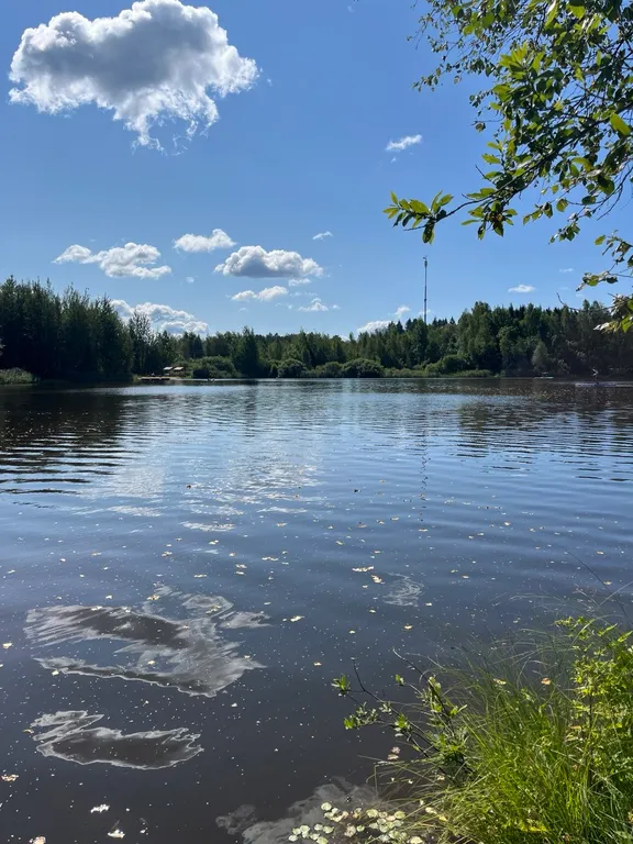 Дом в лесу у озера